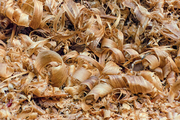 A heap of curly wood shavings; focus stacking macrophotography captured outside a carpenter's shop...