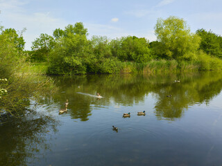 Nördlicher Kronsbergsee in Hannover Bemerade