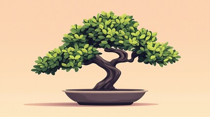 Bonsai Tree Illustration (104)