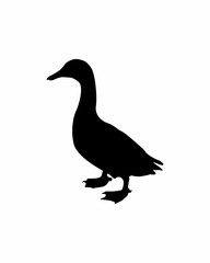 duck silhouette