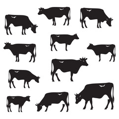 Set of jersey cow silhouettes in various poses. isolated vector on white background