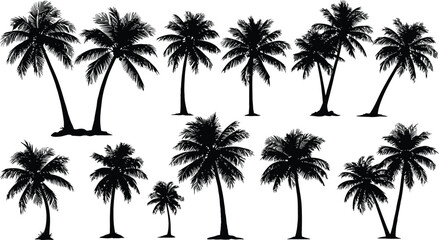 palm trees silhouettes set on isolated