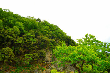 長瀞岩畳　埼玉県秩父郡長瀞町長瀞