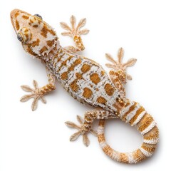 Naklejka premium Tokay Gecko With Orange Spots on White Background, Illustrating Wildlife Conservation and Exotic Pet Ownership : Generative AI