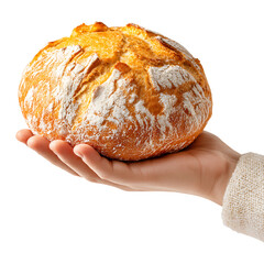 Hand holding bread loaf isolated on transparent background.