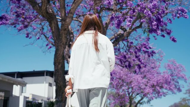 Young woman carries a bag while walking in a serene suburban area. Beautiful purple flowers on a jacaranda tree create a peaceful atmosphere during daytime.