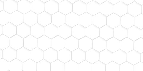 Abstract minimal Background with white lines Hexagonal structure futuristic white background and Embossed Hexagon , honeycomb white mosaic cell web ,light and shadow texture design.
