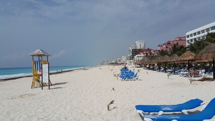 beach chairs and umbrellas on the beach