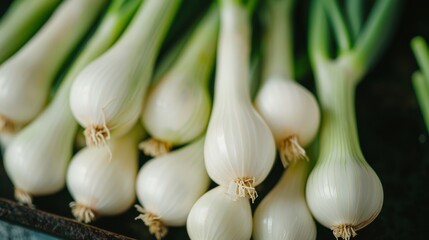 A collection of fresh green onions laid out neatly, representing healthy eating and the essential ingredient that adds a flavor punch to various culinary dishes around the world.