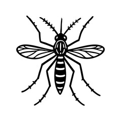 Obraz premium Aedes Mosquito Doodle - Order Diptera