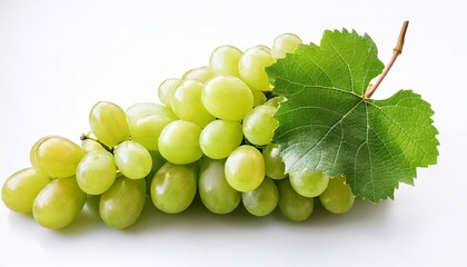Obraz premium grapes isolated a bunch of ripe green grapes with a vine on a white background fresh fruits