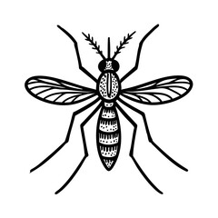 Aedes Mosquito Doodle - Order Diptera
