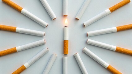 This eye-catching composition features "multiple tobacco sticks with their filters pointing inwards, forming a perfect circular arrangement on a light grey background", emphasizing their uniform 