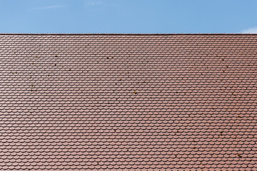 Rooftop with Red Tiles and Blue Sky