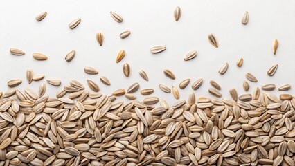 A scattered arrangement of "Sunflower seeds" with their distinct striped shells fills the bottom half of the frame against a clean white background, creating an attractive and natural pattern