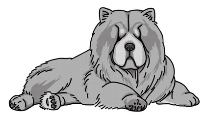 チャウチャウ　白黒　犬のイラスト　chow chow	
