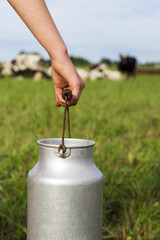 girl's hand holding a retro milk can on a farm with cows in the background