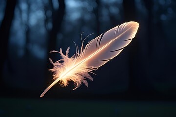 A glowing feather floats gently through the darkened air.