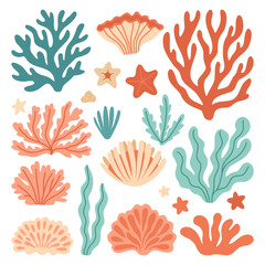Cute flat design featuring coral reef flora, starfish, and shell types. Great for educational ocean content, sea life visuals, kids’ books, and underwater ecosystem illustrations