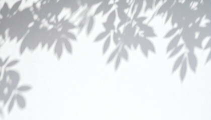Obraz premium White cement wall with soft leaf shadows creating a natural, minimalist and elegant background texture for modern design visuals