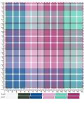Colorful Plaid Fabric Swatch Showing Warp and Weft with Ruler Markings and Color Key