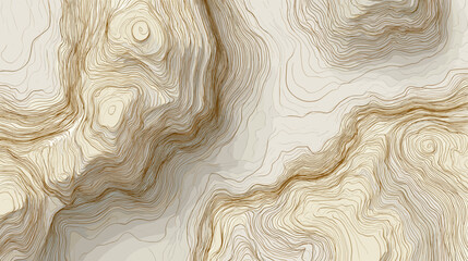 Obraz premium Abstract topographic contours in neutral tones with textured lines 