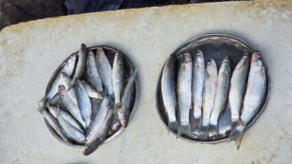 Close up shot of fish in dish in fish market.