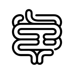 Human organs line icon of heart, lungs, liver, stomach, intestine, kidney, bladder, anatomy, Brain, Spinal Cord, Lungs, Stomach, Gallbladder, testes  illustration.