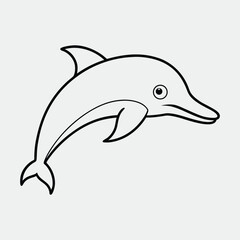 dolphin isolated on white