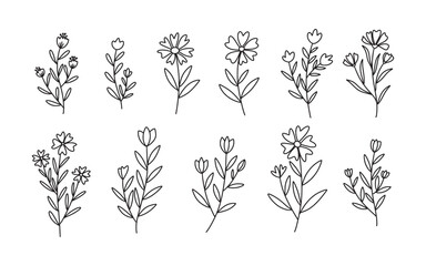 Set of Floral and Wild Flowers. Hand drawn botanical elements. Vector illustration 