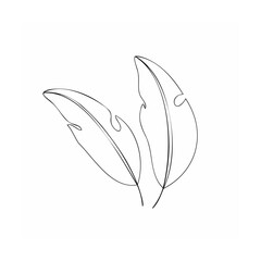 Fototapeta premium Elegant minimalist two tropical leaves line art illustration on white background