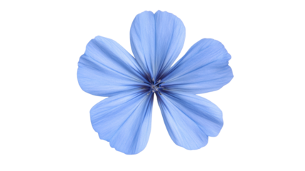 Blue Flax Flower, Five Petals, Isolated on Transparent Background, Floral Design Element, Flax, Botanical, Flower