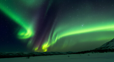 Vibrant Northern Lights Display Over a Snowy Landscape