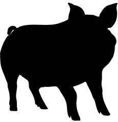 pig animal silhouette