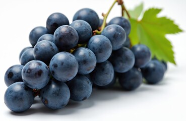 Close-up bunch of blue grapes isolated on white background. Fresh berries, green leaf. Healthy food, sweet dessert concept. Juicy grapes. Wine production ingredient.