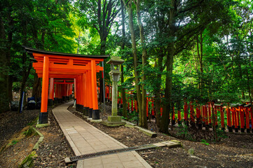 Red thousand of traditional gates or torii in Fushimi Inari Taisha with  Fushimi Ward, Kyoto, Japan