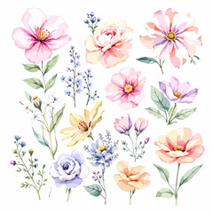 Watercolor floral illustration set with delicate flowers and leaves, isolated on white background. Soft watercolor floral bouquet set © Watercol