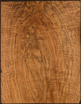 Veneer textures for wood products.