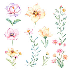 Set of watercolor flowers on white background, Set watercolor Flowers Clipart © Watercol