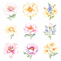Fototapeta premium Set of watercolor flowers on white background, Set watercolor Flowers Clipart