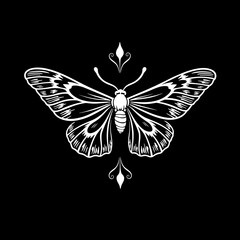 Fototapeta premium Decorative butterfly illustration in white on black background 