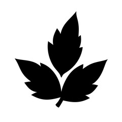 Silhouette small clustered leaf trio icon on transparent background for web and graphic design