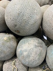 Fresh Cantaloupes with Net Rind Displayed in Bulk