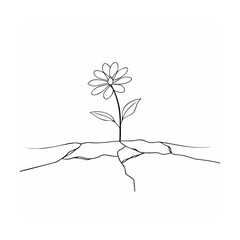 Delicate daisy emerging from cracked earth represents growth resilience and new beginnings