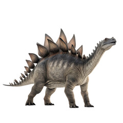 Naklejka premium a Stegosaurus dinosaur isolated on a transparent background
