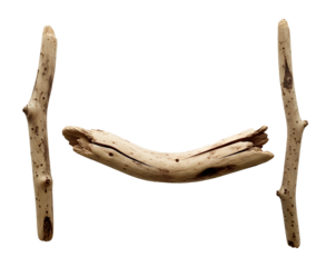 Three pieces of driftwood  cutout transparent background isolate