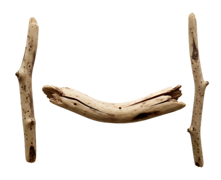 Three pieces of driftwood  cutout transparent background isolate