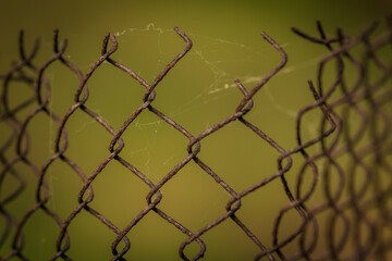Close-up of a rusty, bent wire fence with delicate spider webs between the links, set against a...