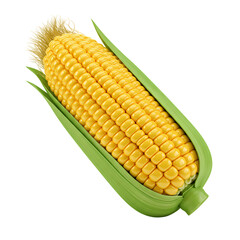 Ripe Ear of Corn isolated on transparent background
