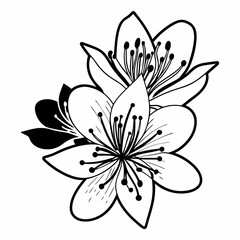 Obraz premium flower vector